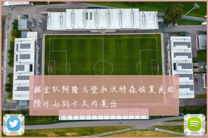 掘金队阿隆戈登和沃特森恢复良好预计七到十天内复出