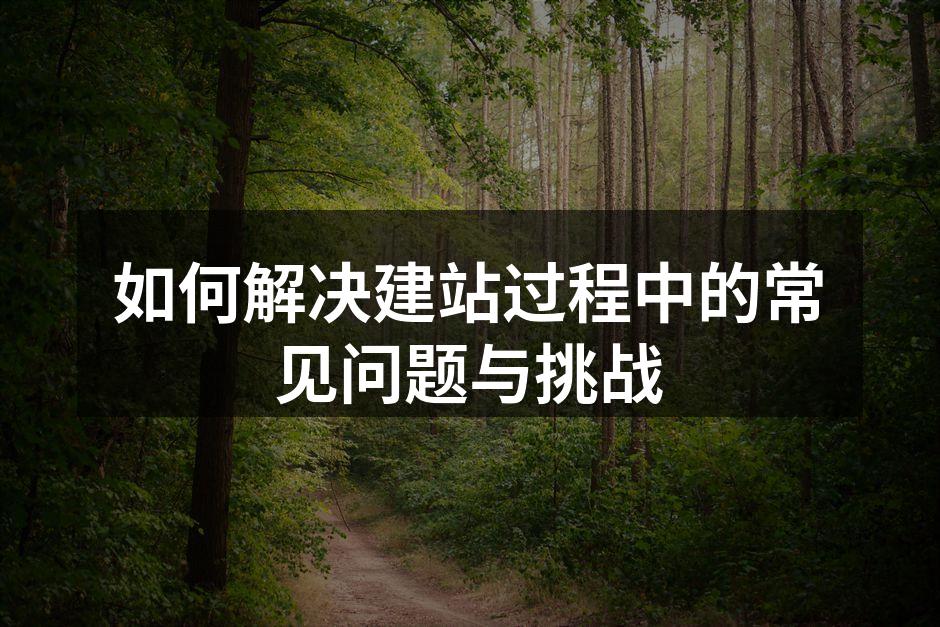 选择合适的域名至关重要