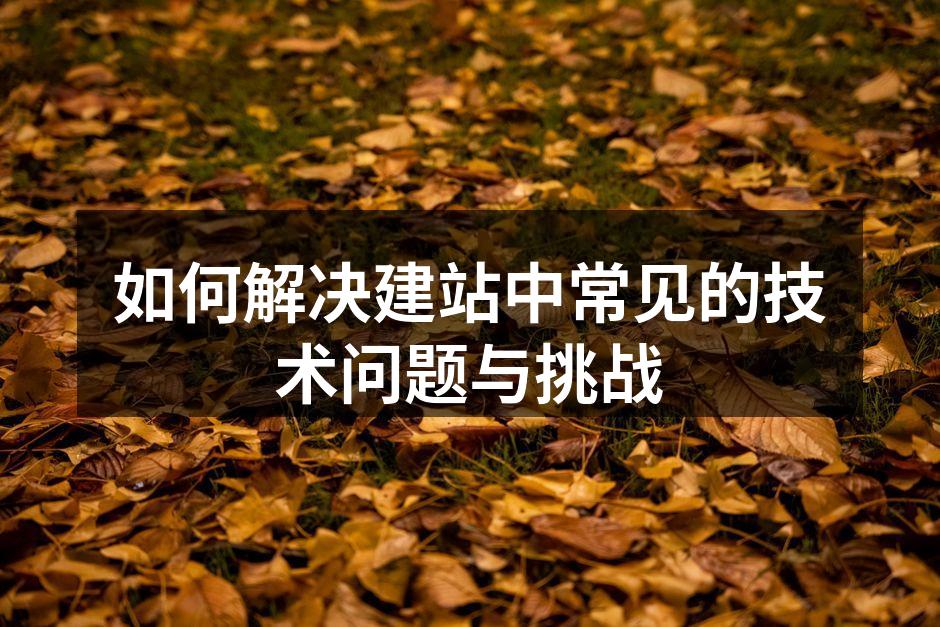 域名选择的关键要点