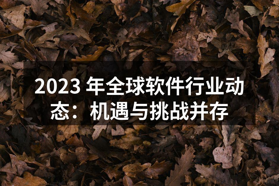 2023年全球软件市场分析